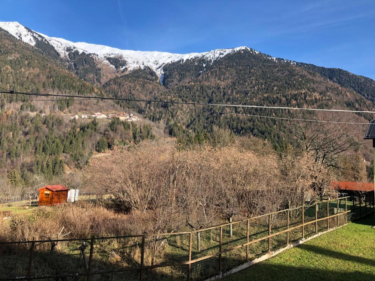 Mountain House Hotel Rigolato Екстериор снимка